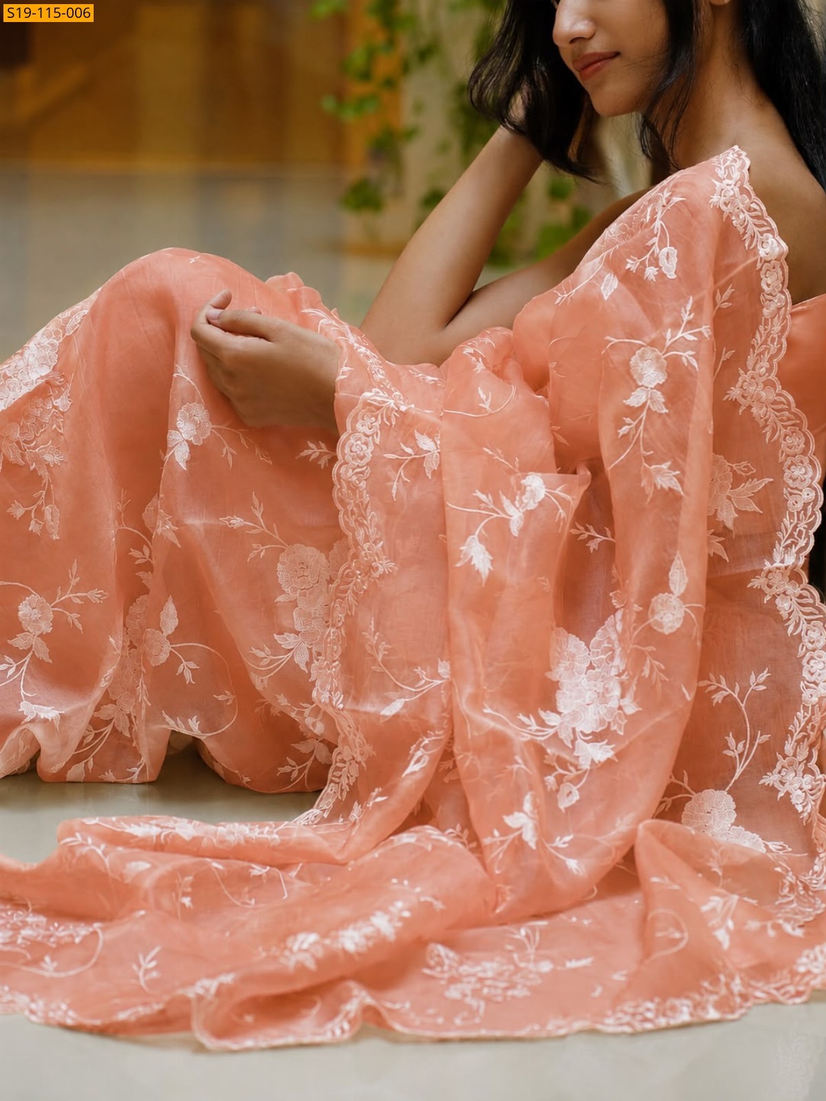 Fancy banarasi Organza saree